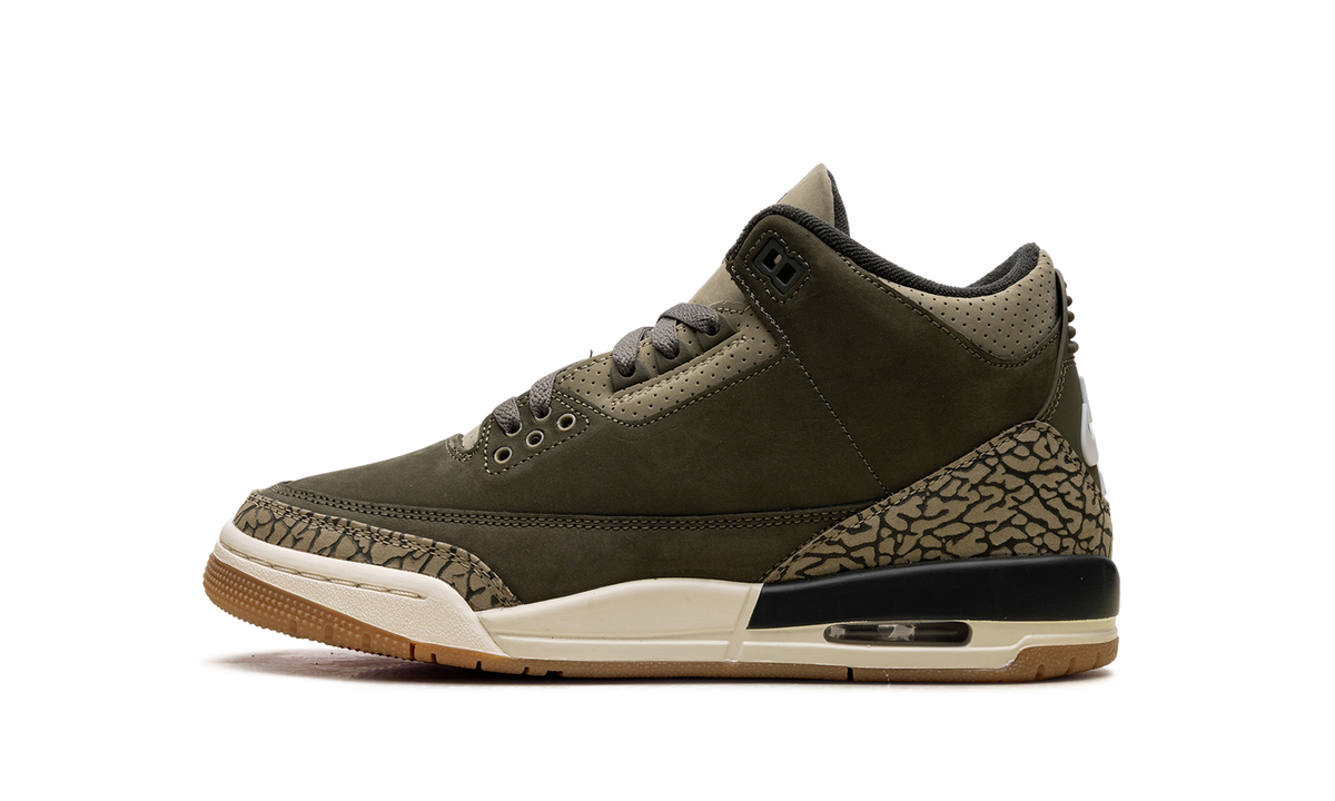 Air Jordan 3 GS Family Affair DM0967 202