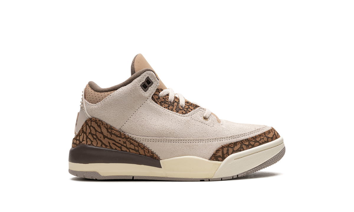Air Jordan 3 PS Palomino DM0966 102